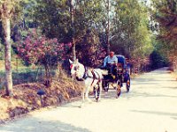 1991001354 Darrel-Betty-Darla Hagberg - Greece Vacation