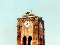 1991001409 Darrel-Betty-Darla Hagberg - Greece Vacation