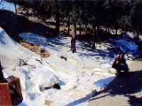 1991001143 Darrel-Betty-Darla Hagberg - Greece Vacation