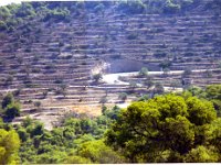 1994081016 Darrel & Betty Hagberg - Athens Greece