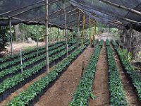 2011024759 Antigua - Guatemala