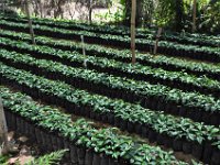 2011024764 Antigua - Guatemala