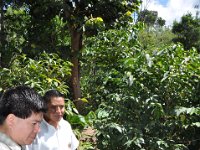 2011024765 Antigua - Guatemala