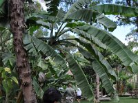 2011024771 Antigua - Guatemala
