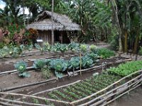 2011024777 Antigua - Guatemala