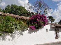 2011024939 Antigua - Guatemala