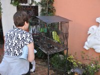 2011023002 Antiqua - Guatemala