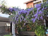 2011023004 Antiqua - Guatemala