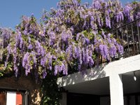 2011023005 Antiqua - Guatemala