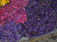 2011023073 Antiqua - Guatemala