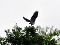 2011023335 Aquateca - Guatemala