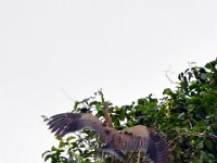 2011023336 Aquateca - Guatemala