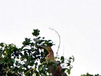 2011023337 Aquateca - Guatemala