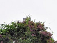 2011023338 Aquateca - Guatemala