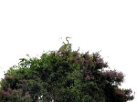 2011023339 Aquateca - Guatemala