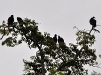 2011023342 Aquateca - Guatemala