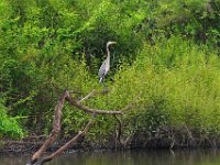 2011023345 Aquateca - Guatemala