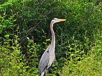 2011023346 Aquateca - Guatemala