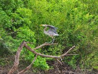 2011023349 Aquateca - Guatemala