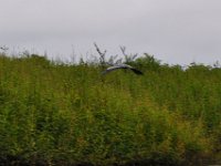 2011023353 Aquateca - Guatemala