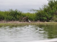 2011023354 Aquateca - Guatemala