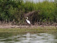 2011023357 Aquateca - Guatemala