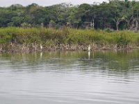 2011023359 Aquateca - Guatemala