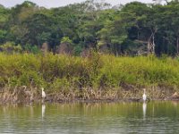 2011023360 Aquateca - Guatemala