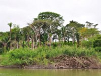 2011023361 Aquateca - Guatemala