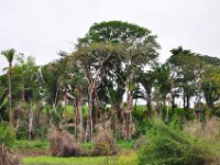 2011023362 Aquateca - Guatemala