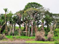 2011023363 Aquateca - Guatemala