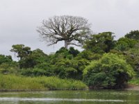 2011023365 Aquateca - Guatemala