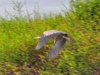 2011023367 Aquateca - Guatemala