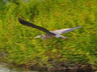 2011023368 Aquateca - Guatemala