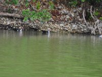 2011023372 Aquateca - Guatemala