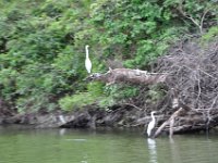 2011023374 Aquateca - Guatemala