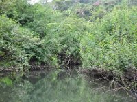 2011023388 Aquateca - Guatemala