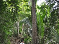 2011023395 Aquateca - Guatemala