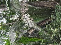 2011023396 Aquateca - Guatemala