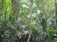 2011023412 Aquateca - Guatemala