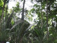 2011023413 Aquateca - Guatemala