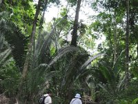 2011023414 Aquateca - Guatemala