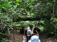 2011023416 Aquateca - Guatemala