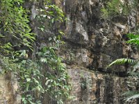 2011023419 Aquateca - Guatemala