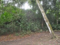 2011023472 Aquateca - Guatemala