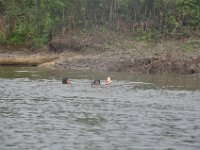 2011023503 Aquateca - Guatemala