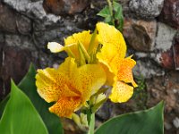 2011024502 Lake Atitlan - Guatemala