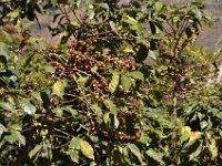 2011024616 Lake Atitlan - Guatemala