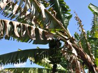 2011024626 Lake Atitlan - Guatemala