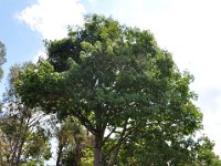 2011024637 Lake Atitlan - Guatemala